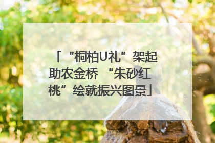 “桐柏U礼”架起助农金桥 “朱砂红桃”绘就振兴图景