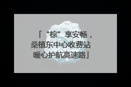 “棕”享安畅，桑植东中心收费站暖心护航高速路
