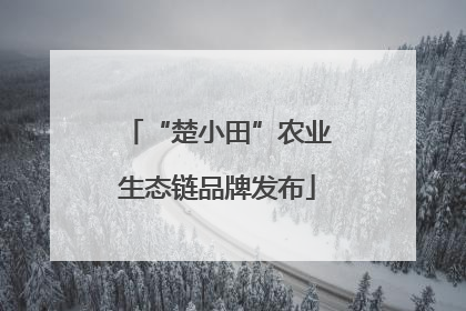“楚小田”农业生态链品牌发布