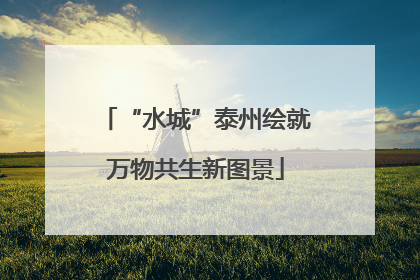 “水城”泰州绘就万物共生新图景