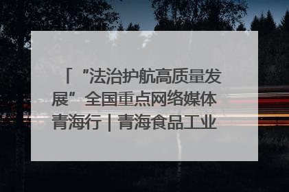 “法治护航高质量发展”全国重点网络媒体青海行｜青海食品工业协会：架起“青字号”美食的产业化桥梁