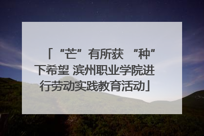 “芒”有所获 “种”下希望 滨州职业学院进行劳动实践教育活动