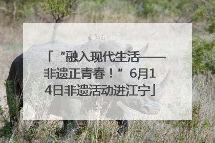 “融入现代生活——非遗正青春！”6月14日非遗活动进江宁