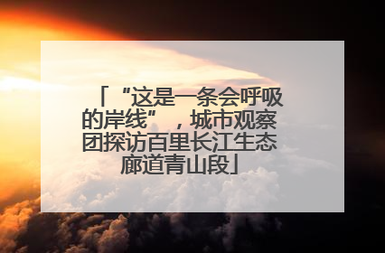 “这是一条会呼吸的岸线”，城市观察团探访百里长江生态廊道青山段