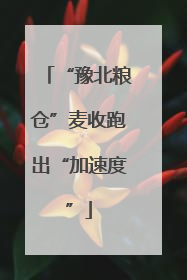 “豫北粮仓”麦收跑出“加速度”