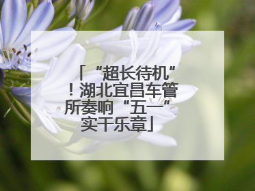 “超长待机”！湖北宜昌车管所奏响“五一”实干乐章