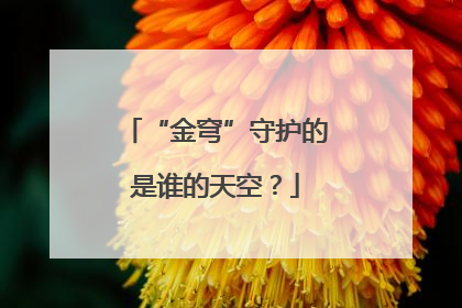 “金穹”守护的是谁的天空？