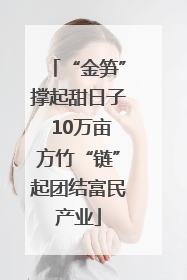 “金笋”撑起甜日子 10万亩方竹“链”起团结富民产业
