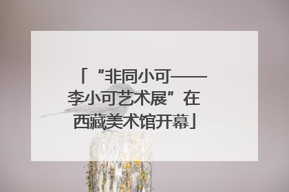 “非同小可——李小可艺术展”在西藏美术馆开幕