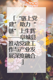 “链上党建”助力“链”上生辉——阜城县推动党建工作与产业发展深度融合
