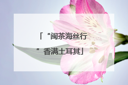 “闽茶海丝行”香满土耳其