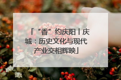 “香”约庆阳丨庆城：历史文化与现代产业交相辉映