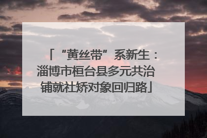 “黄丝带”系新生：淄博市桓台县多元共治铺就社矫对象回归路