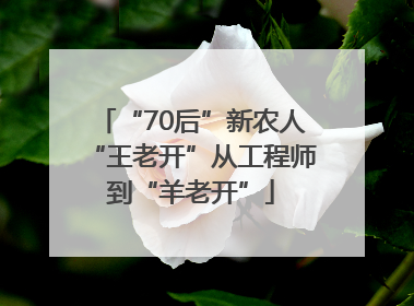 “70后”新农人“王老开”从工程师到“羊老开”