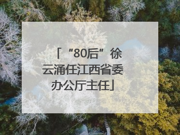 “80后”徐云涌任江西省委办公厅主任