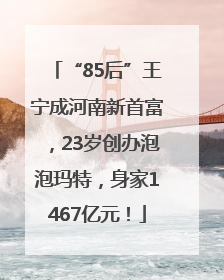 “85后”王宁成河南新首富，23岁创办泡泡玛特，身家1467亿元！