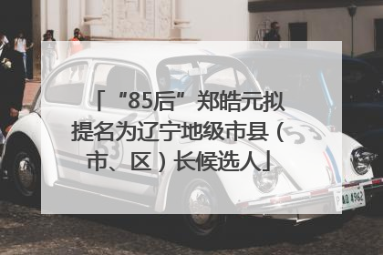“85后”郑皓元拟提名为辽宁地级市县（市、区）长候选人