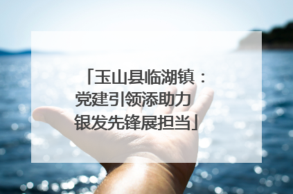 玉山县临湖镇：党建引领添助力 银发先锋展担当
