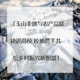 玉山非遗与农产品联袂进高校 校地携手共绘乡村振兴新图景