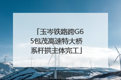 玉岑铁路跨G65包茂高速特大桥系杆拱主体完工