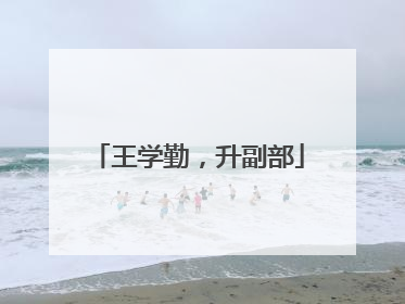 王学勤，升副部
