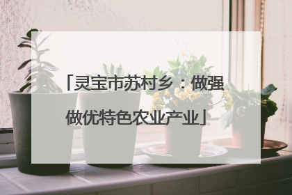 灵宝市苏村乡：做强做优特色农业产业