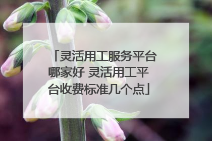 灵活用工服务平台哪家好 灵活用工平台收费标准几个点