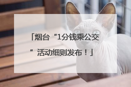烟台“1分钱乘公交”活动细则发布！