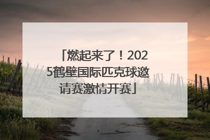 燃起来了！2025鹤壁国际匹克球邀请赛激情开赛