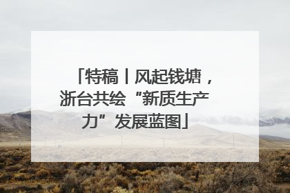 特稿丨风起钱塘，浙台共绘“新质生产力”发展蓝图