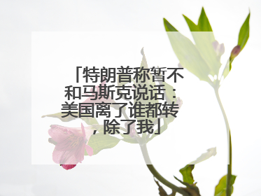 特朗普称暂不和马斯克说话：美国离了谁都转，除了我