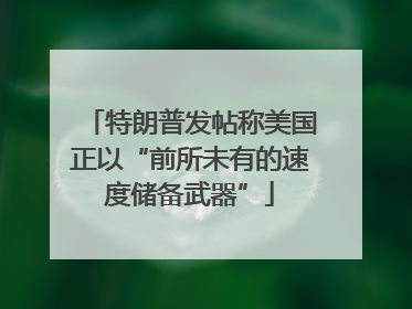 特朗普发帖称美国正以“前所未有的速度储备武器”