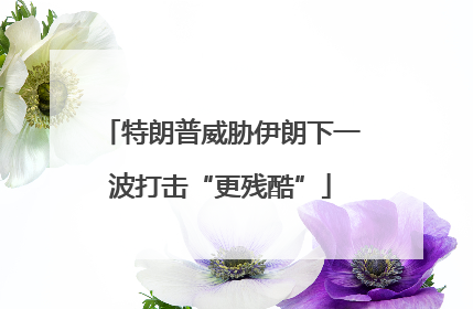特朗普威胁伊朗下一波打击“更残酷”
