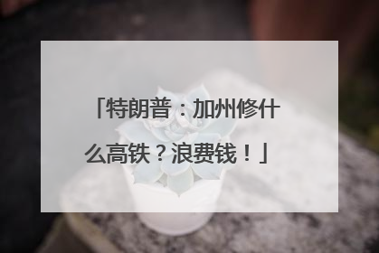特朗普：加州修什么高铁？浪费钱！