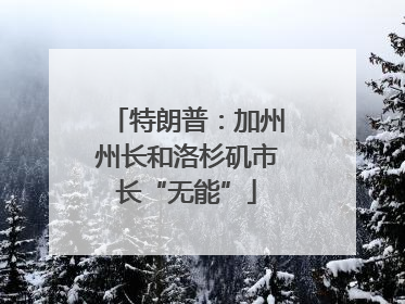 特朗普：加州州长和洛杉矶市长“无能”