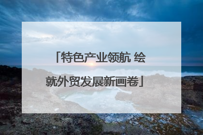 特色产业领航 绘就外贸发展新画卷