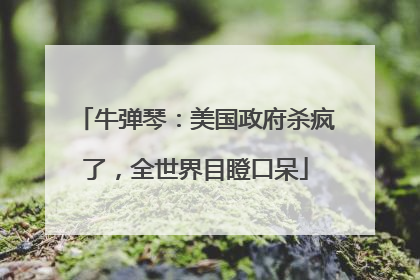 牛弹琴：美国政府杀疯了，全世界目瞪口呆