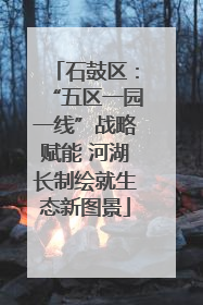 石鼓区：“五区一园一线”战略赋能 河湖长制绘就生态新图景