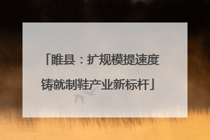 睢县：扩规模提速度 铸就制鞋产业新标杆