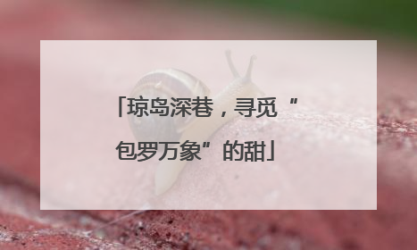 琼岛深巷，寻觅“包罗万象”的甜