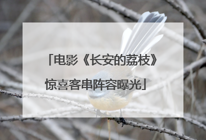电影《长安的荔枝》惊喜客串阵容曝光