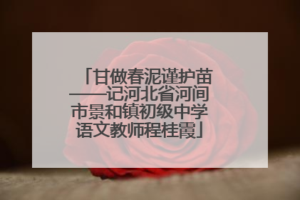 甘做春泥谨护苗——记河北省河间市景和镇初级中学语文教师程桂霞