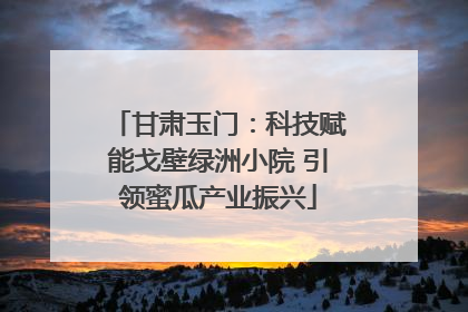 甘肃玉门：科技赋能戈壁绿洲小院 引领蜜瓜产业振兴