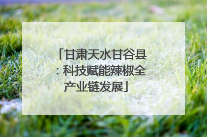 甘肃天水甘谷县：科技赋能辣椒全产业链发展