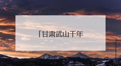 甘肃武山千年浆水菜“科技焕新”走全国