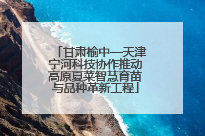 甘肃榆中—天津宁河科技协作推动高原夏菜智慧育苗与品种革新工程