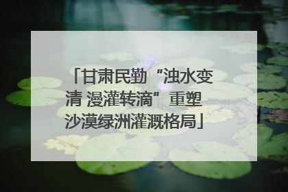 甘肃民勤“浊水变清 漫灌转滴”重塑沙漠绿洲灌溉格局