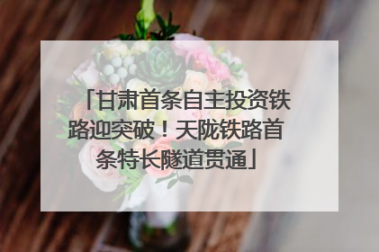 甘肃首条自主投资铁路迎突破！天陇铁路首条特长隧道贯通