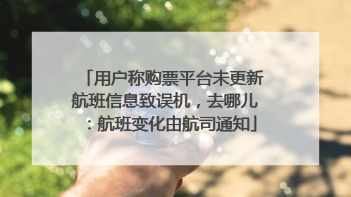 用户称购票平台未更新航班信息致误机，去哪儿：航班变化由航司通知