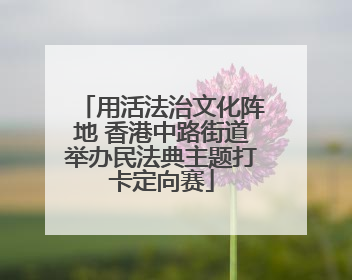 用活法治文化阵地 香港中路街道举办民法典主题打卡定向赛